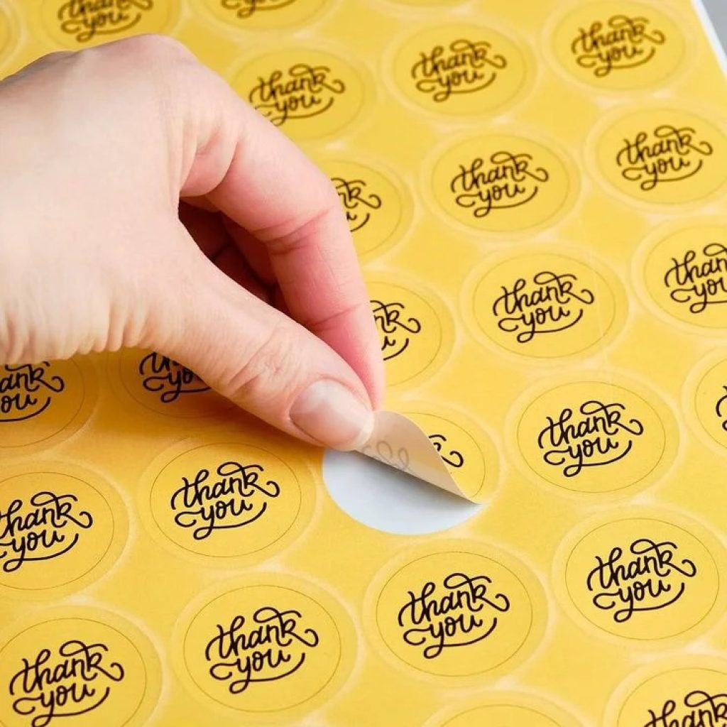 WhatsApp Image 2025-12-31 at 15.48.35